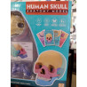 Modelo Cráneo Humano Anatómico - 17 Partes | Juguete Científico Educativo