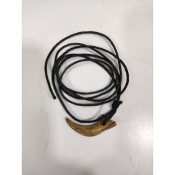 Colgante Garra de Velociraptor realista | Réplica anatómica de colección | Ciencia Entretenida