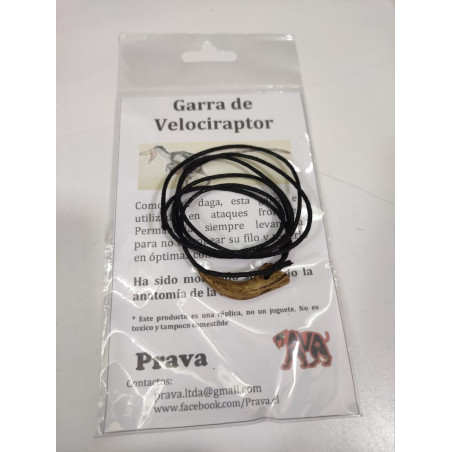 Colgante Garra de Velociraptor realista | Réplica anatómica de colección | Ciencia Entretenida