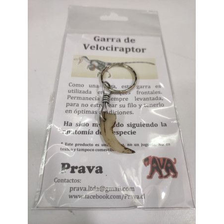 Llavero Garra de Velociraptor realista | Réplica anatómica de colección | Ciencia Entretenida