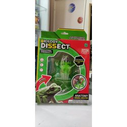 Kit Disección Rana | Anatomía y Biología – Ciencia Entretenida