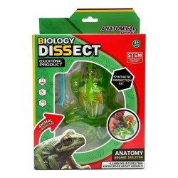 Kit Disección Rana | Anatomía y Biología – Ciencia Entretenida