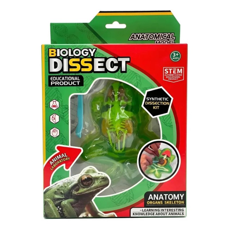 Kit Disección Rana | Anatomía y Biología – Ciencia Entretenida