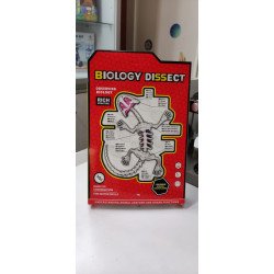 Kit Anatomía Lagartija | Disección y Biología – Ciencia Entretenida