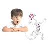 Kit Anatomía Lagartija | Disección y Biología – Ciencia Entretenida