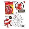 Kit Anatomía Lagartija | Disección y Biología – Ciencia Entretenida