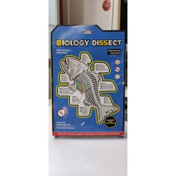 Kit Anatomía Piraña | Disección y Biología – Ciencia Entretenida