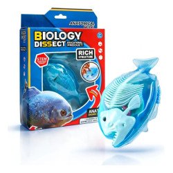 Kit Anatomía Piraña | Disección y Biología – Ciencia Entretenida