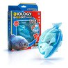 Kit Anatomía Piraña | Disección y Biología – Ciencia Entretenida