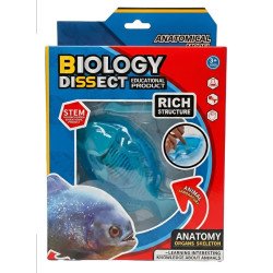 Kit Anatomía Piraña | Disección y Biología – Ciencia Entretenida