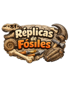 🦴 Réplicas de Fósiles