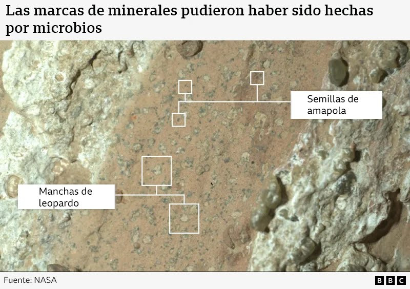  Encuentran posibles señales de vida pasada en Marte en rocas con "manchas de leopardo"