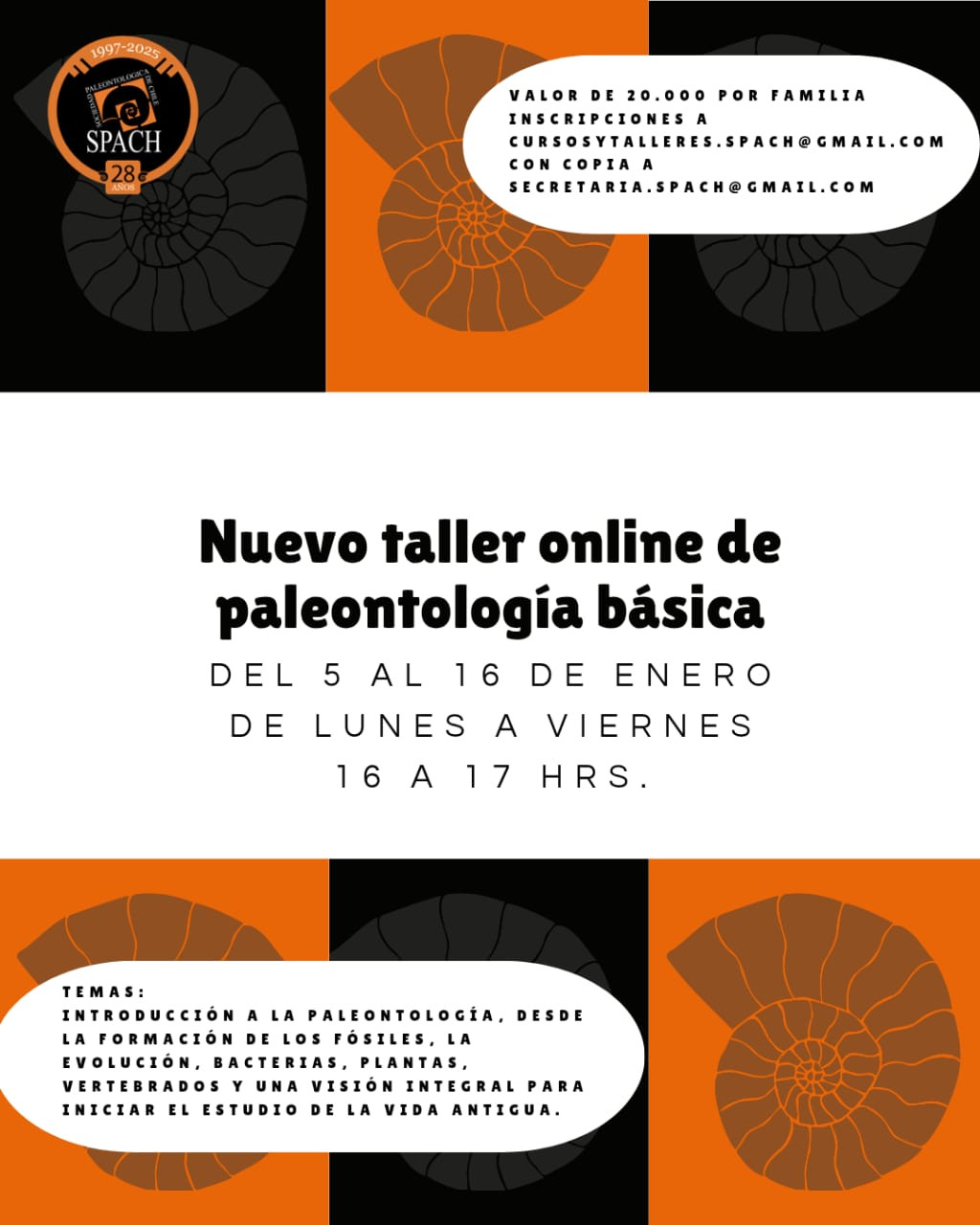 Paleontología en verano: aprende en familia junto a la Sociedad Paleontológica de Chile